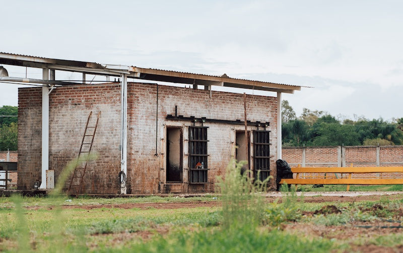 Cooked in Brick Ovens